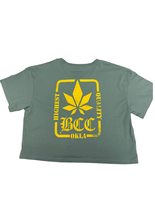 Updated Logo Women's Crop Tee Sage Green